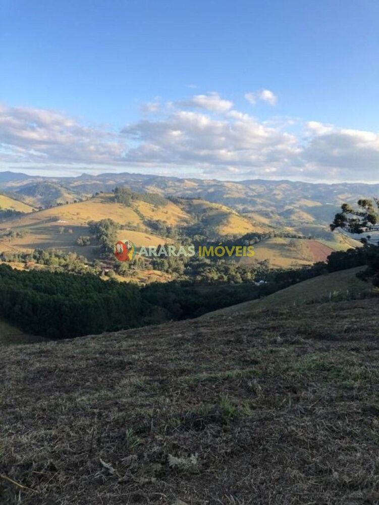 Terreno, 3 hectares - Foto 4