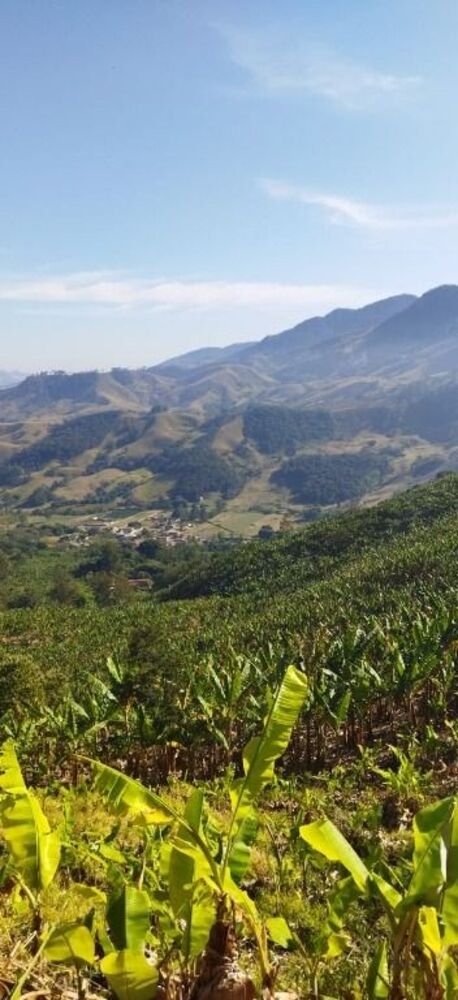 Terreno à venda, 36000m² - Foto 4
