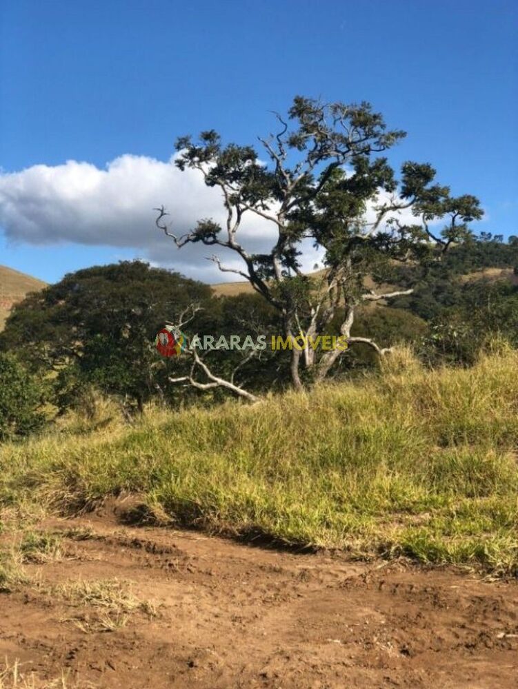 Terreno, 5 hectares - Foto 3