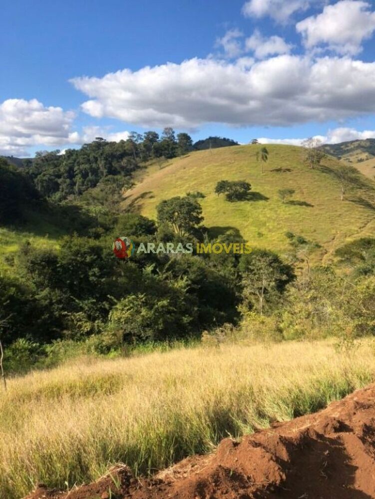 Terreno, 5 hectares - Foto 4