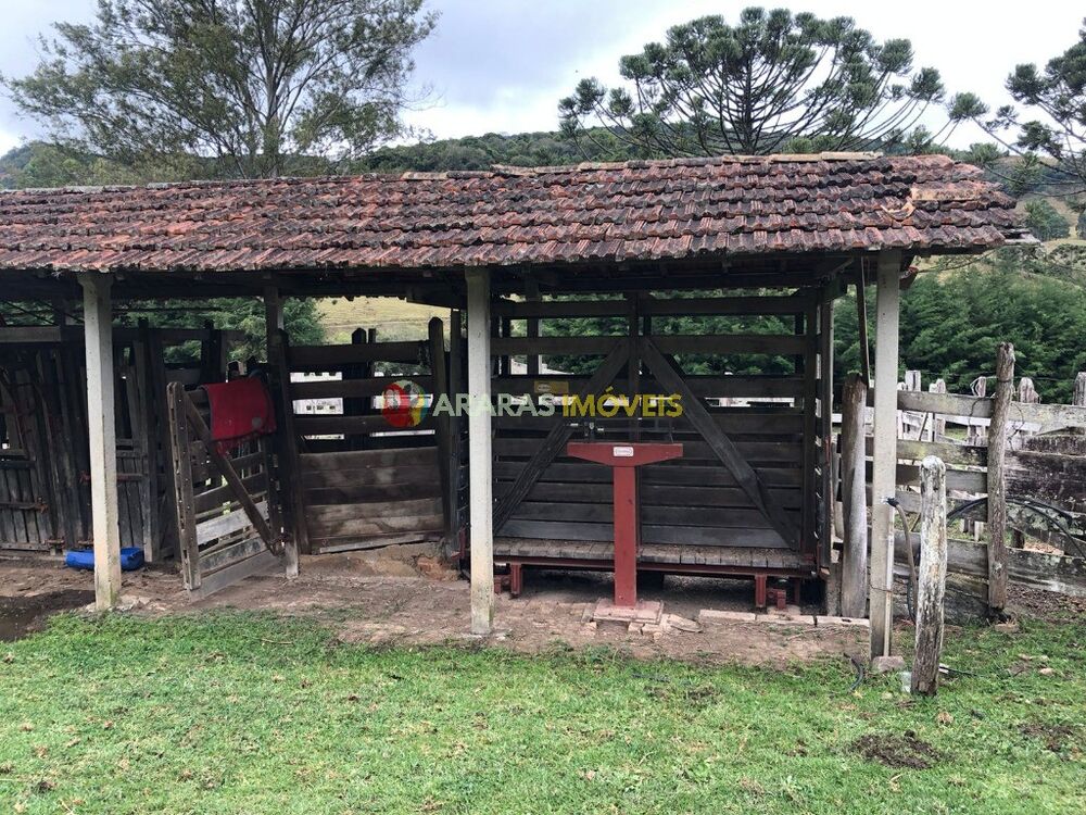 Sítio à venda com 4 quartos, 145200m² - Foto 11