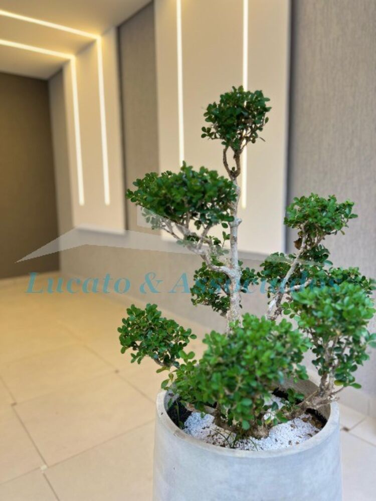 Casa à venda com 2 quartos, 54m² - Foto 6