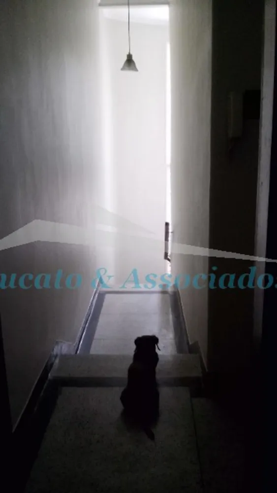 Casa, 3 quartos, 190 m² - Foto 5