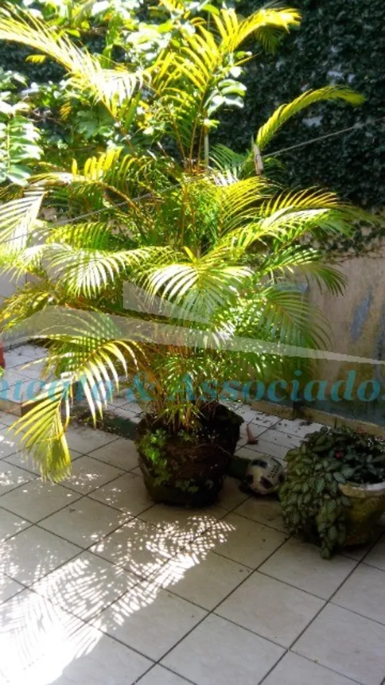 Casa, 3 quartos, 190 m² - Foto 6