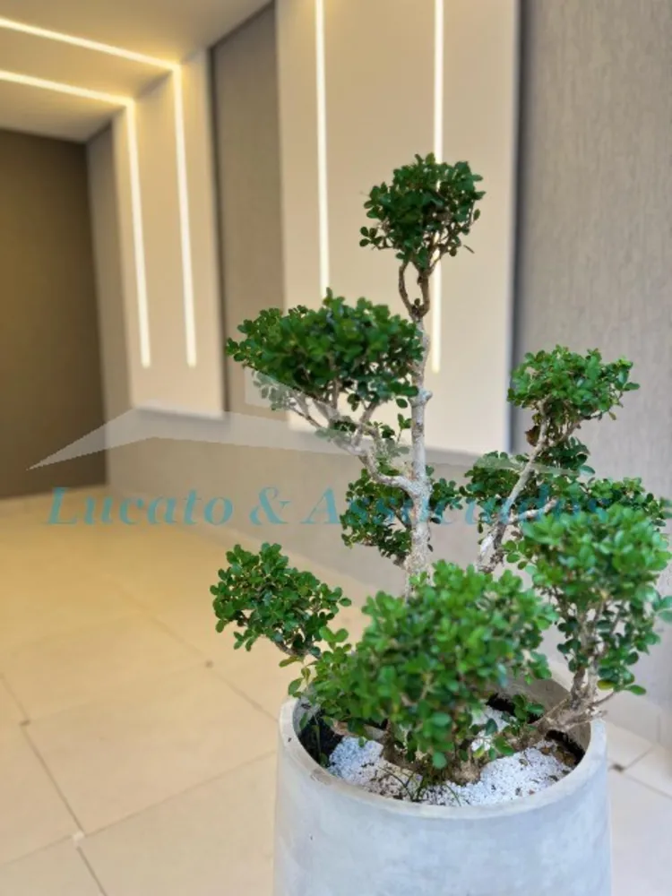 Casa, 2 quartos, 54 m² - Foto 15
