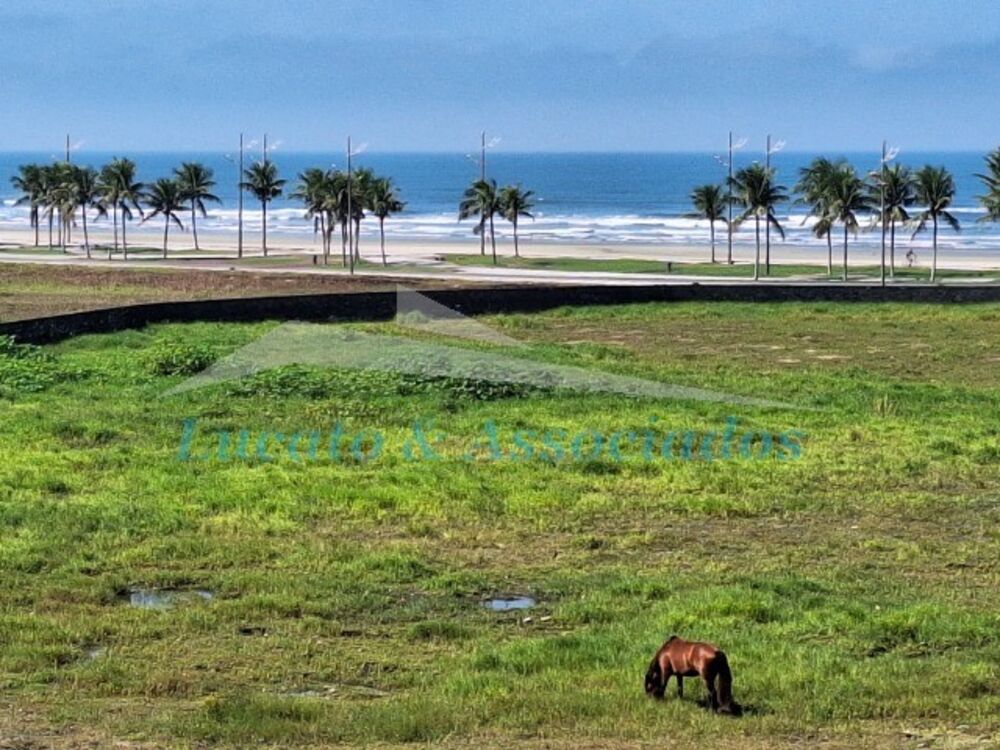 Apartamento, 2 quartos, 76 m² - Foto 6