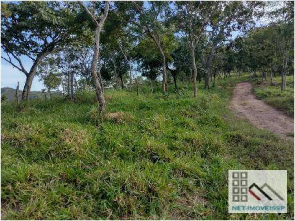Fazenda, 143 hectares - Foto 11