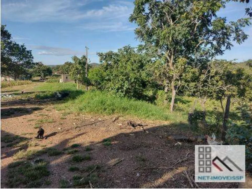 Fazenda, 143 hectares - Foto 10