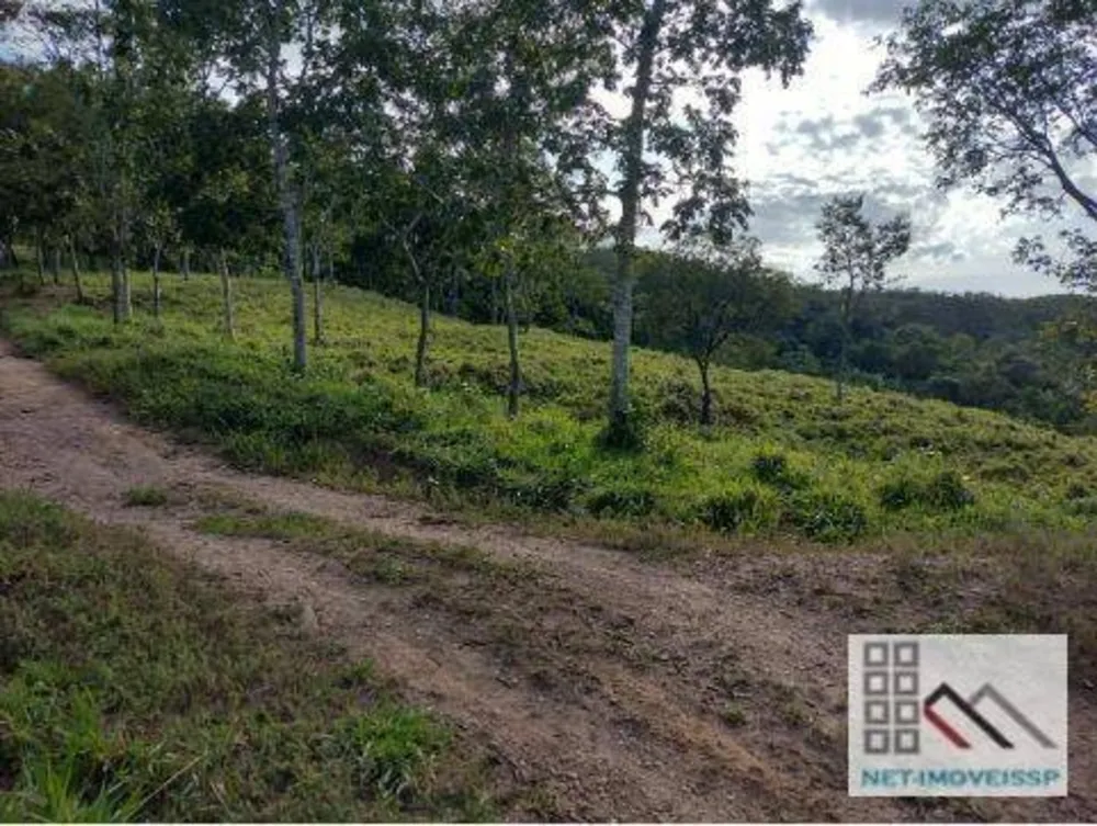 Fazenda, 143 hectares - Foto 12