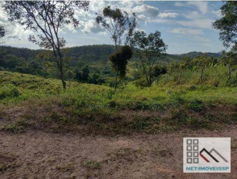 Fazenda, 143 hectares - Foto 7