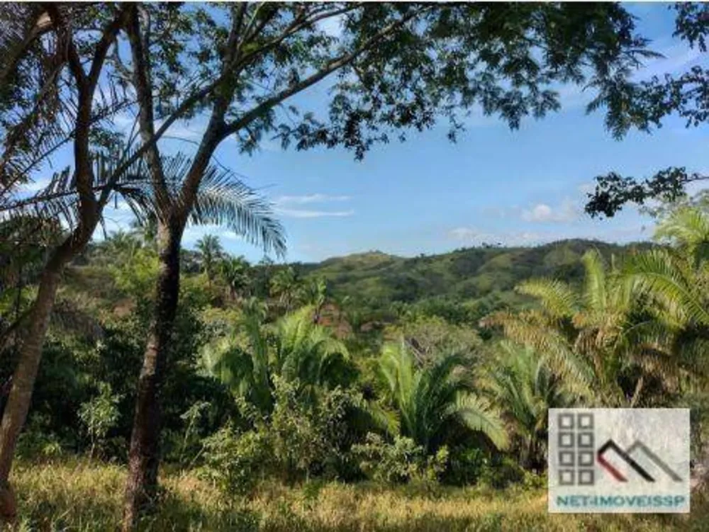 Fazenda, 143 hectares - Foto 2