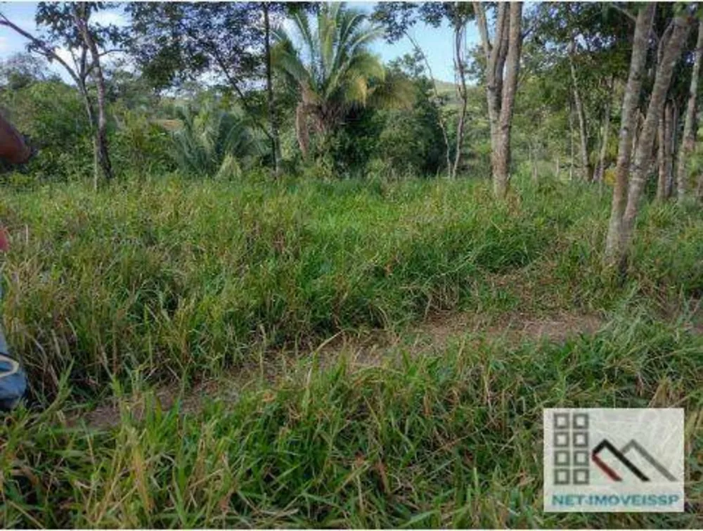 Fazenda, 143 hectares - Foto 6