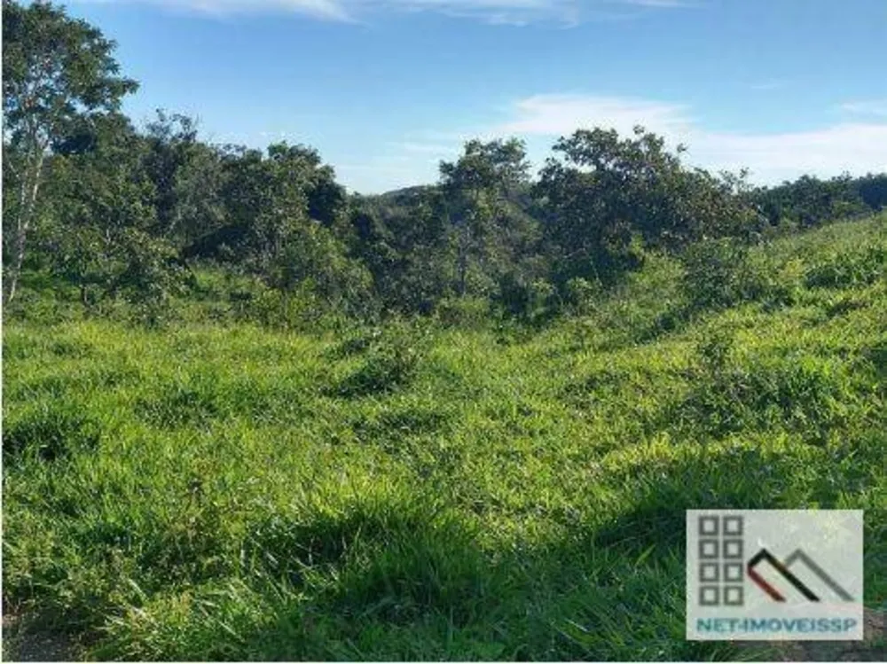 Fazenda, 143 hectares - Foto 4