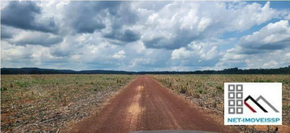 Fazenda, 850 hectares - Foto 13