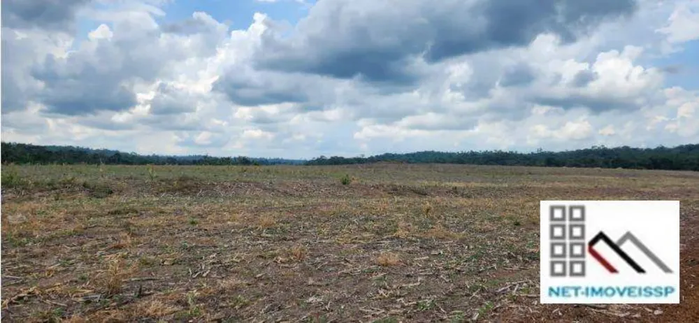 Fazenda, 850 hectares - Foto 12