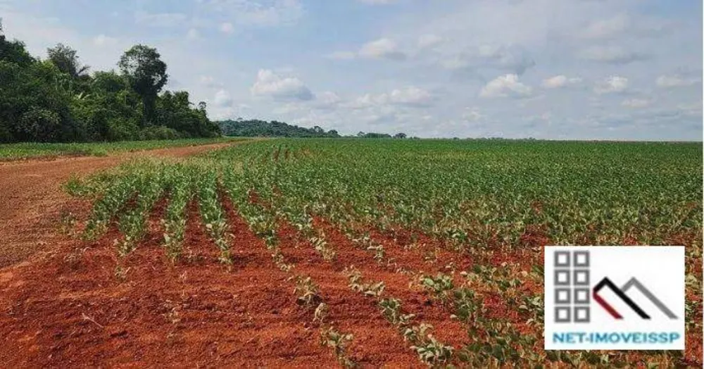 Fazenda, 850 hectares - Foto 10