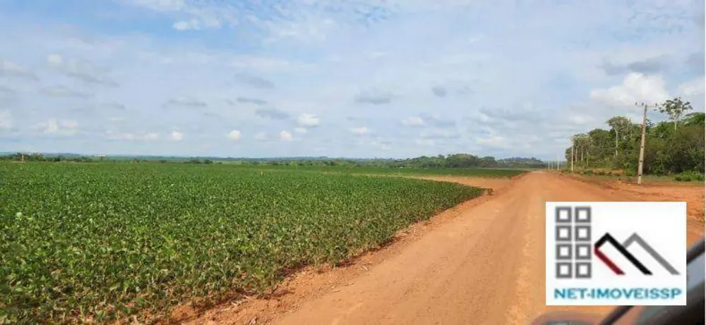 Fazenda, 850 hectares - Foto 6