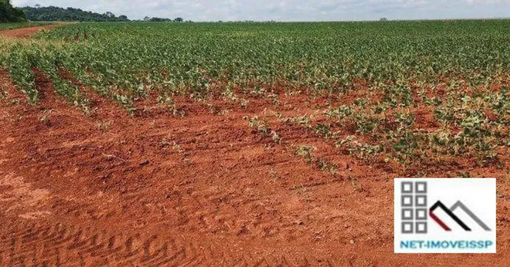 Fazenda, 850 hectares - Foto 11