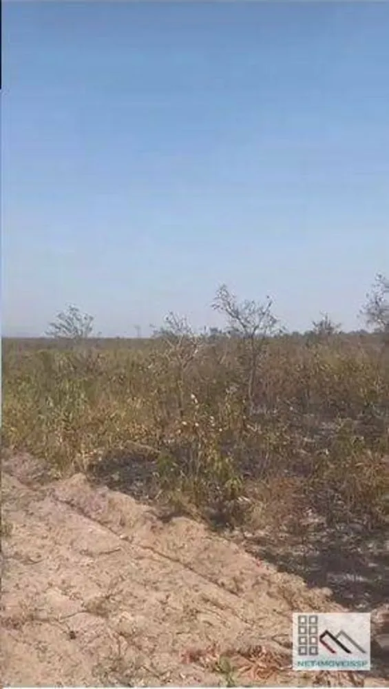 Fazenda, 3120 hectares - Foto 12