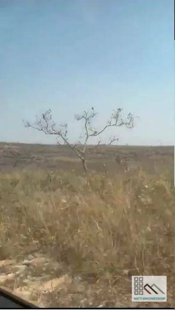 Fazenda, 3120 hectares - Foto 11