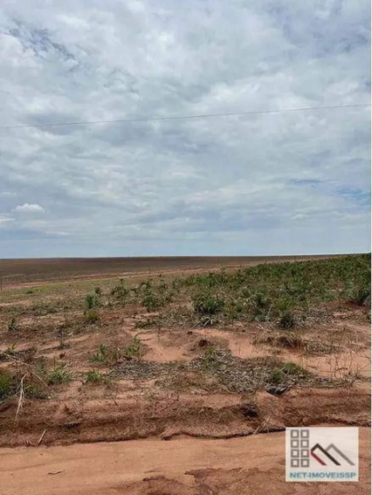 Fazenda, 3120 hectares - Foto 1
