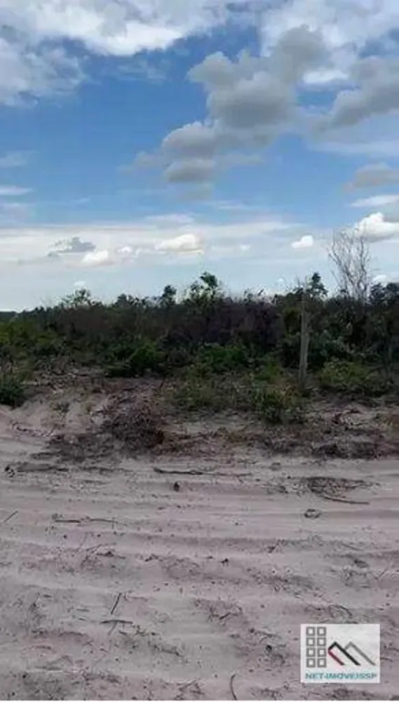 Fazenda, 3120 hectares - Foto 8