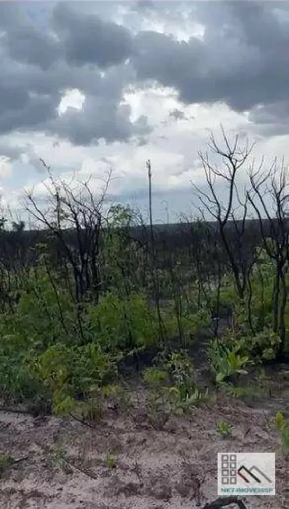 Fazenda, 3120 hectares - Foto 6