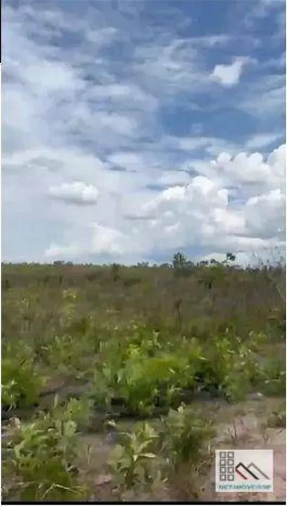 Fazenda, 3120 hectares - Foto 4