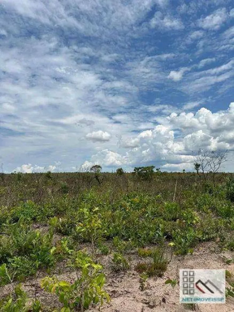 Fazenda, 3120 hectares - Foto 2
