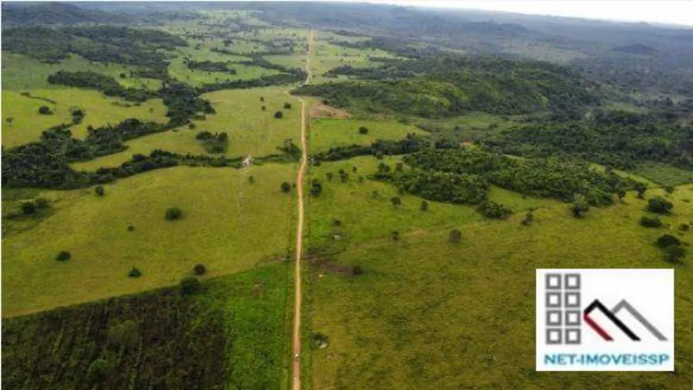 Fazenda, 4598 hectares - Foto 8