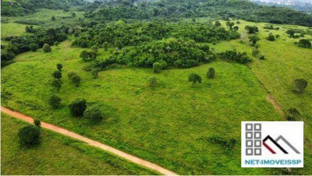 Fazenda, 4598 hectares - Foto 3