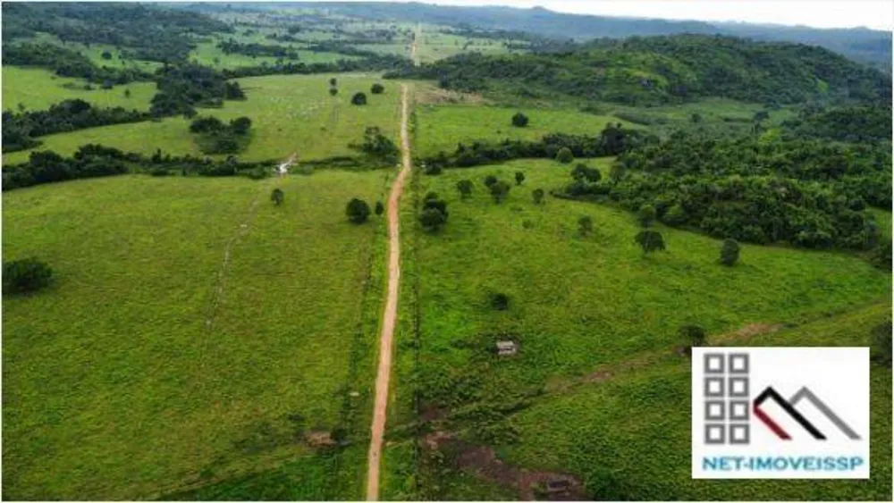 Fazenda, 4598 hectares - Foto 3