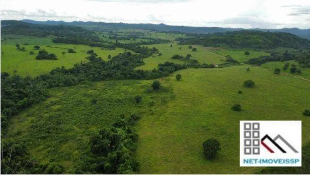 Fazenda, 4598 hectares - Foto 4