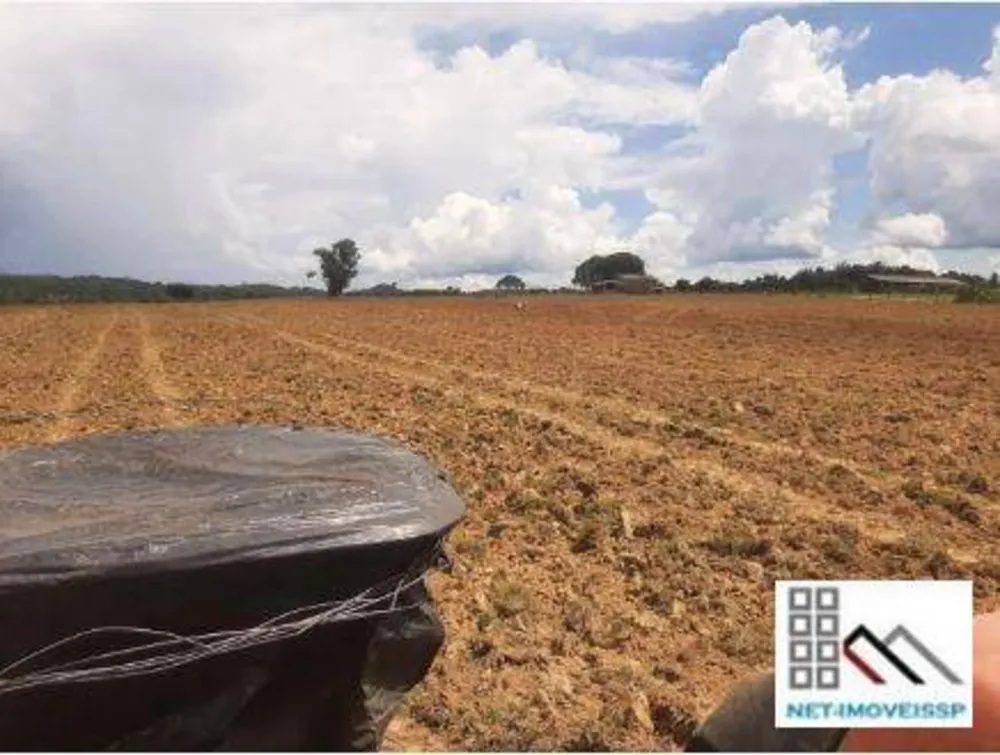 Fazenda, 4598 hectares - Foto 4
