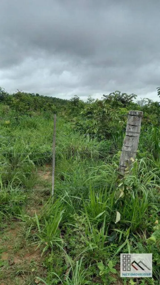 Fazenda, 1013 hectares - Foto 6