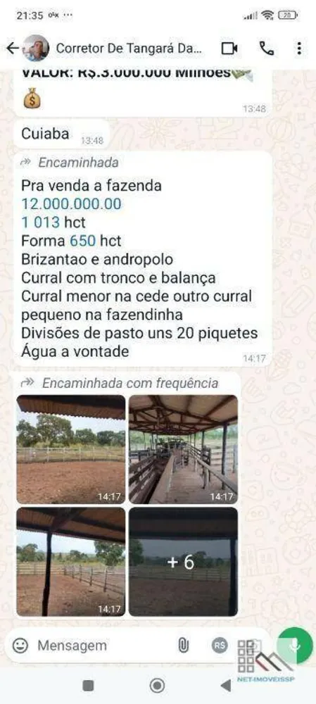 Fazenda, 1013 hectares - Foto 9