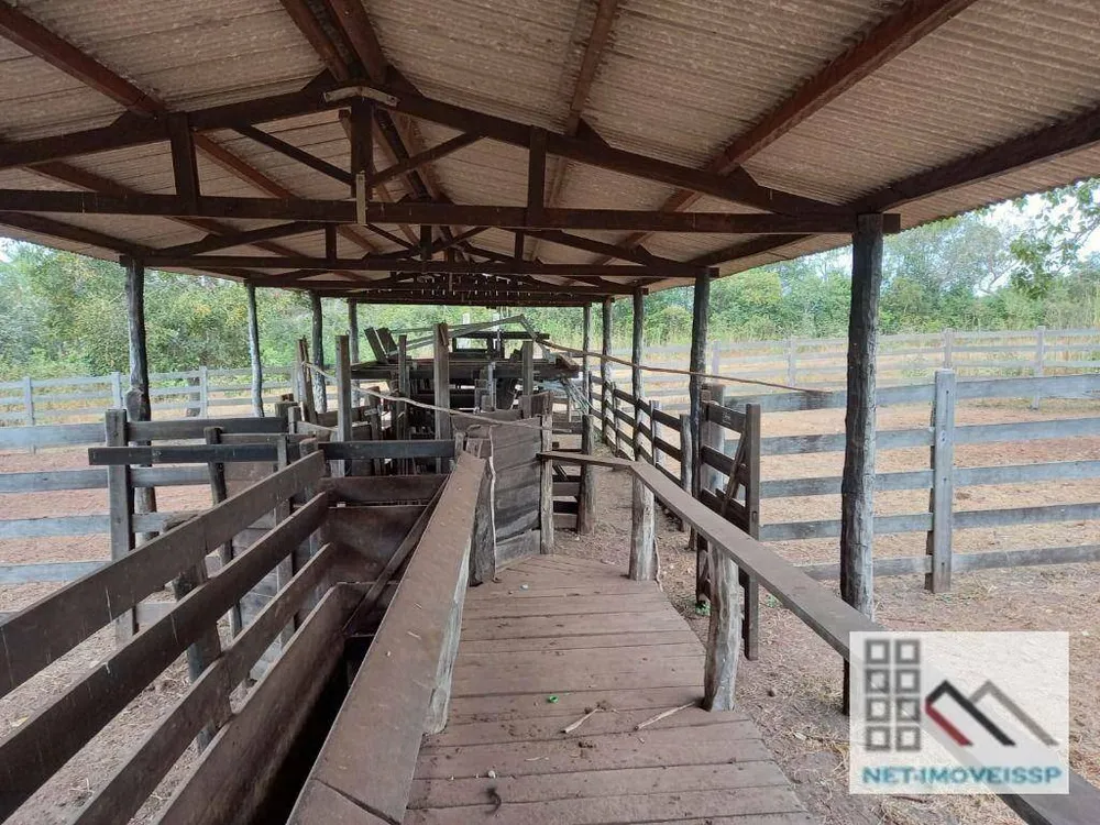 Fazenda, 1013 hectares - Foto 8