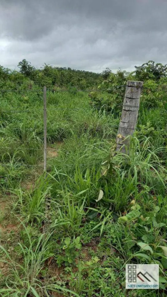 Fazenda, 1013 hectares - Foto 4