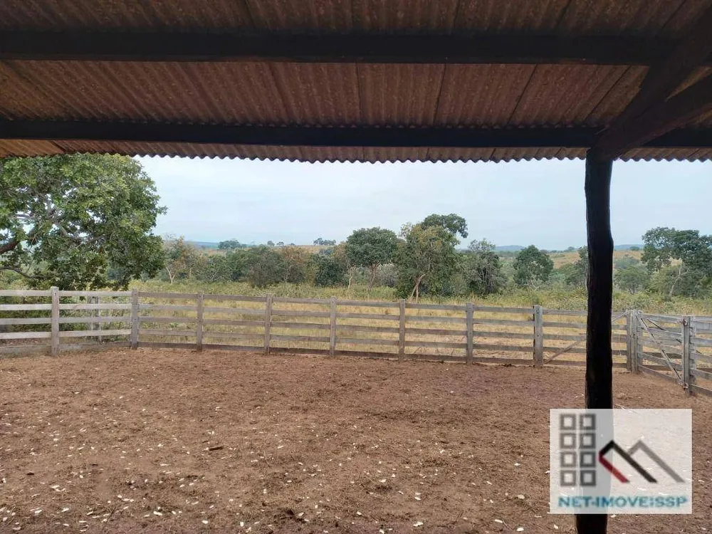 Fazenda, 1013 hectares - Foto 3