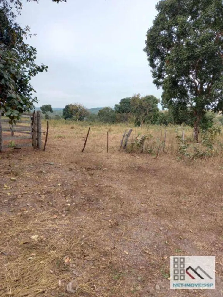 Fazenda, 1013 hectares - Foto 7