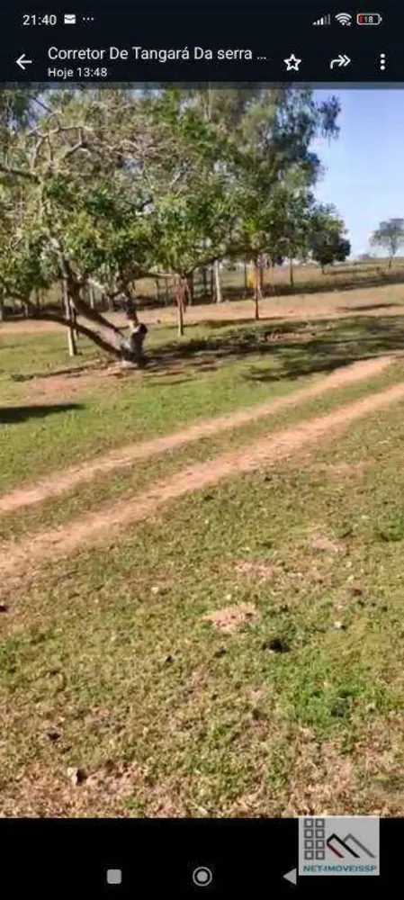 Fazenda, 324 hectares - Foto 4