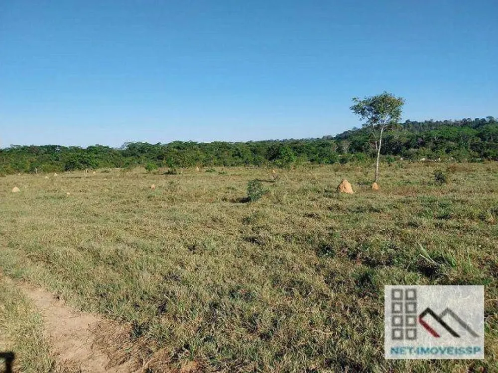 Fazenda, 748 hectares - Foto 1