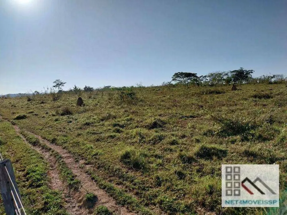 Fazenda, 748 hectares - Foto 3