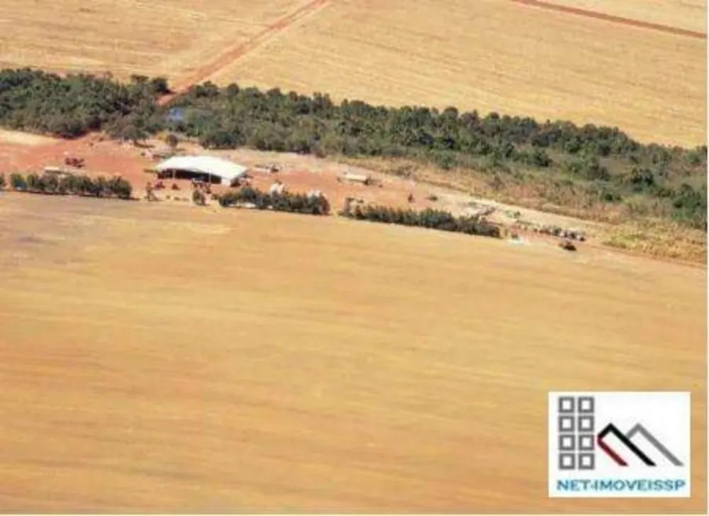 Fazenda, 17531 hectares - Foto 3