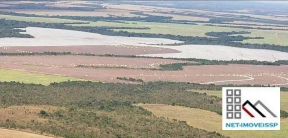 Fazenda, 17531 hectares - Foto 1