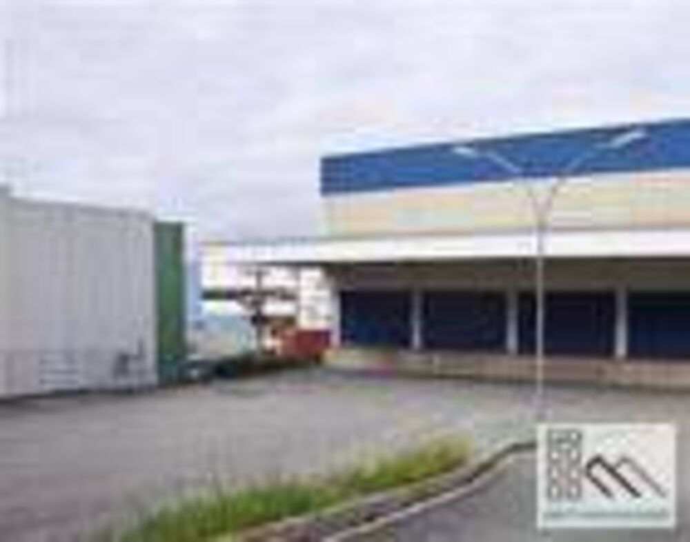 Depósito-Galpão, 8595 m² - Foto 6