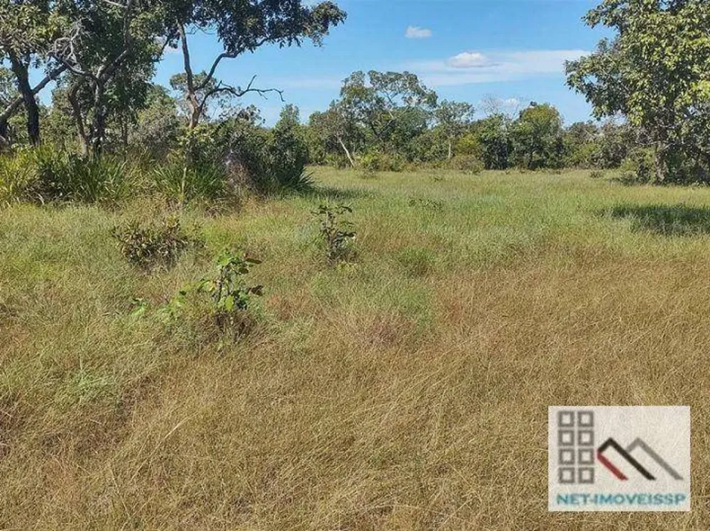 Fazenda, 17500 hectares - Foto 11
