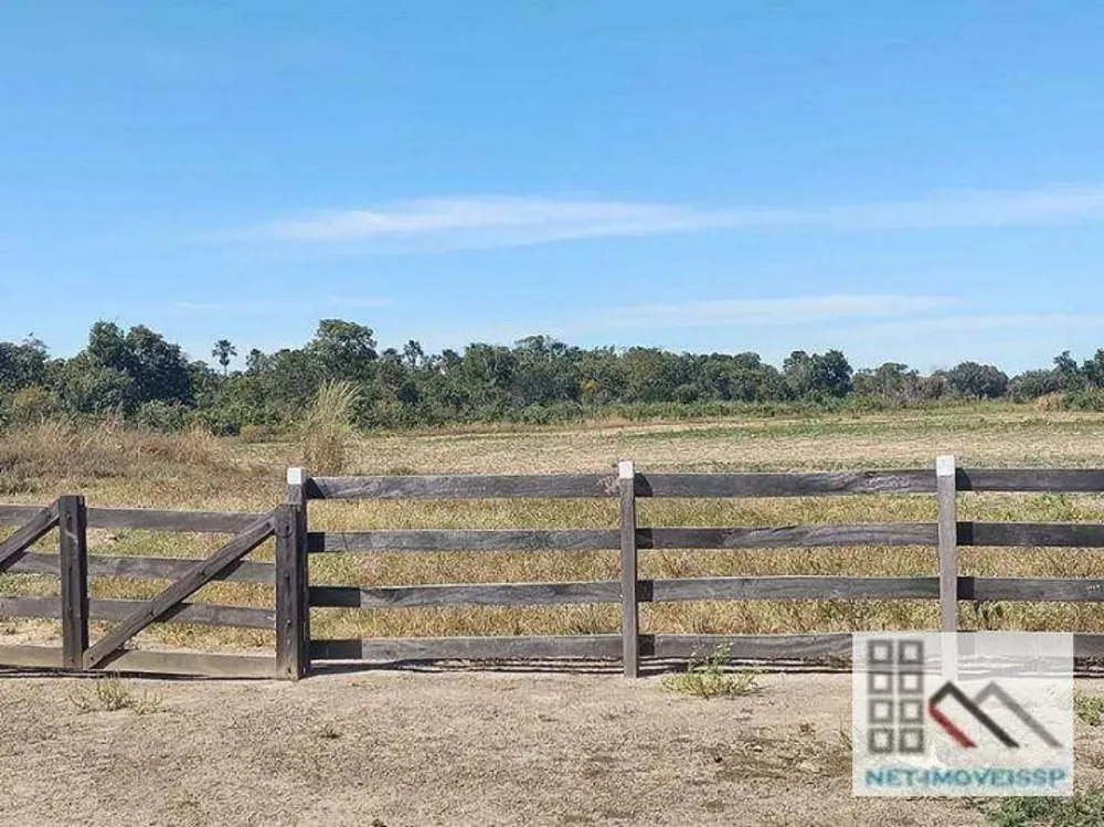 Fazenda, 17500 hectares - Foto 10