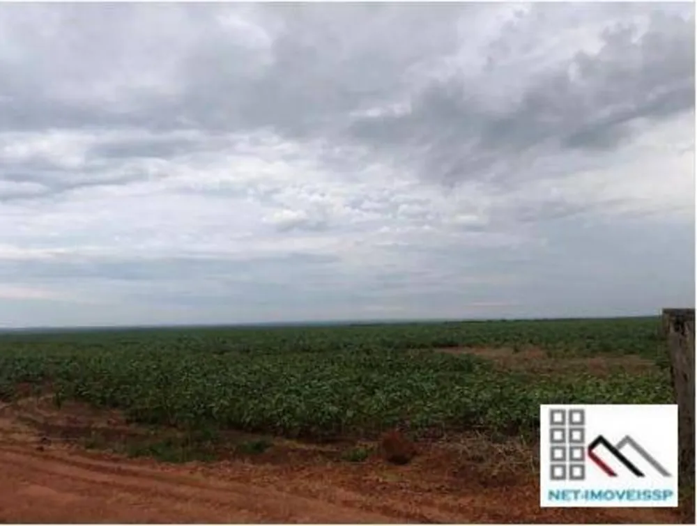 Fazenda, 3364 hectares - Foto 3