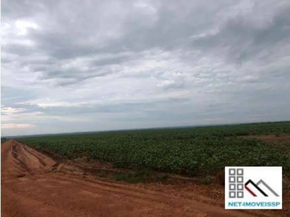 Fazenda, 3364 hectares - Foto 4